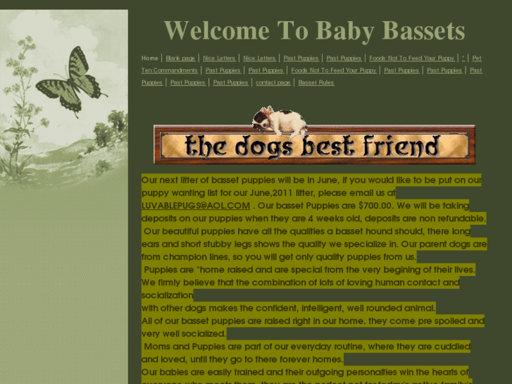 www.babybassets.net