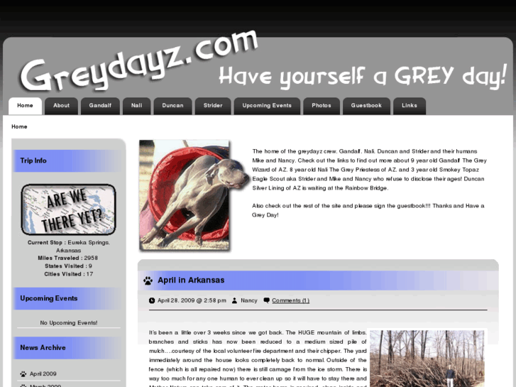 www.greydayz.com