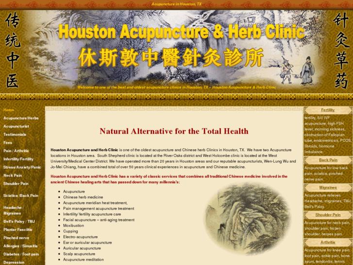 www.painacupuncturehouston.com