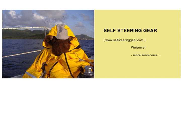 www.selfsteeringgear.com