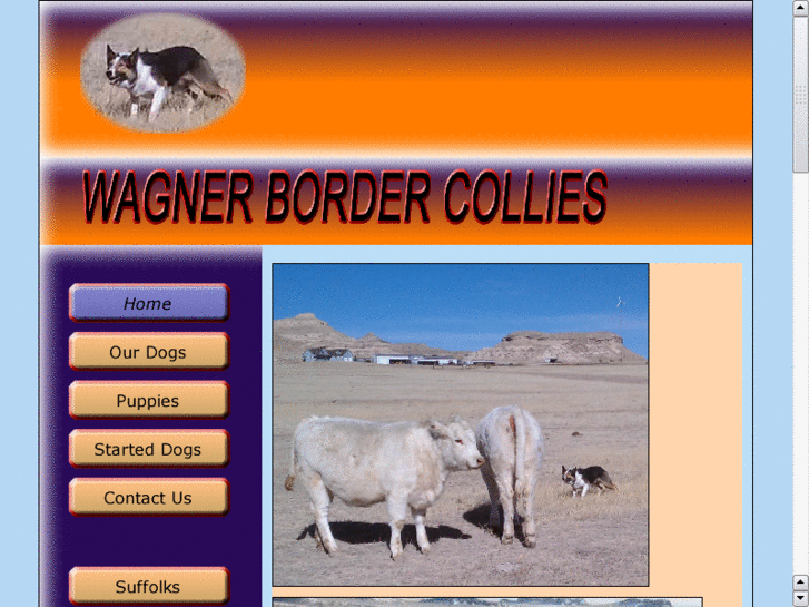 www.wagnerbordercollies.com