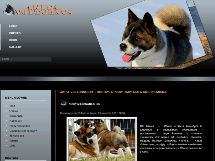 www.akita-volturnus.pl