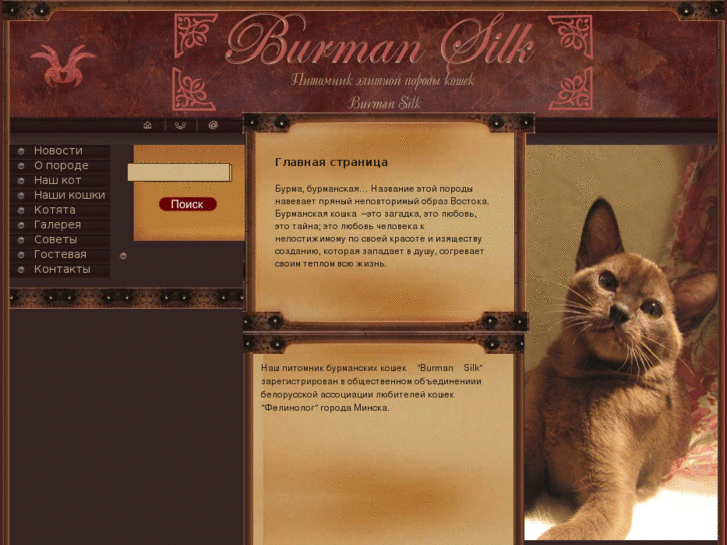 www.burmcat.com