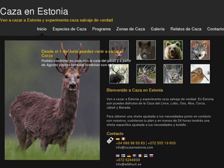 www.cazaenestonia.com