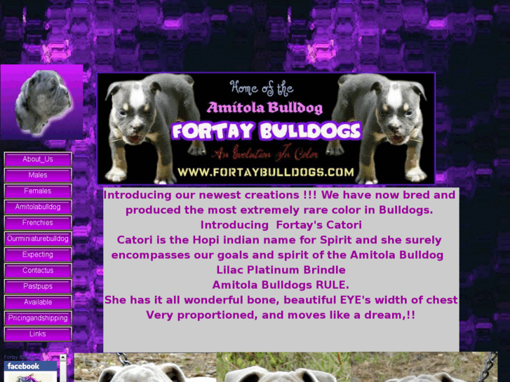 www.fortaybulldogs.com