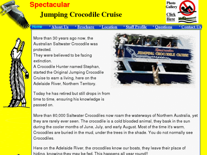 www.jumpingcrocodile.com.au