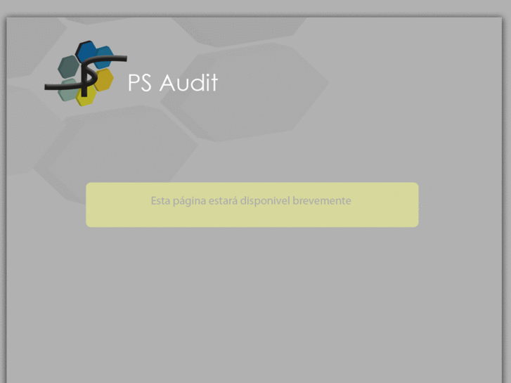 www.psaudit.net
