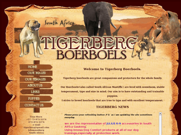 www.tigerbergboerboels.com