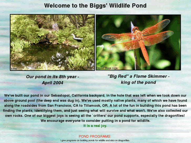 www.bigsnestpond.net