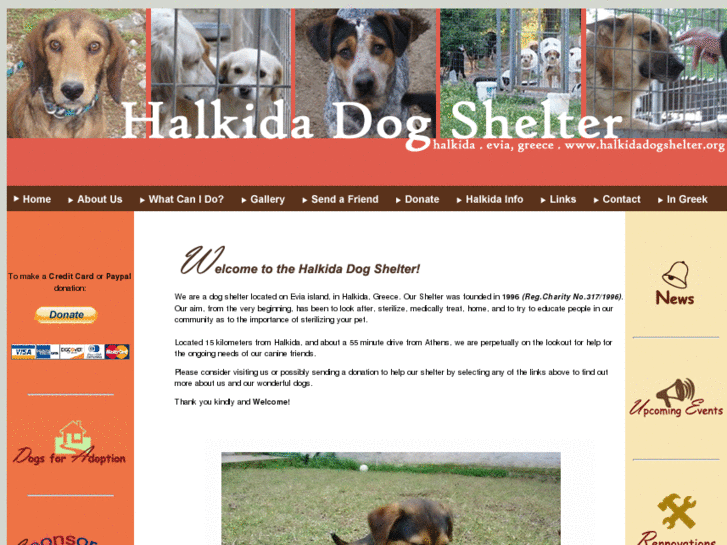 www.halkidadogshelter.org