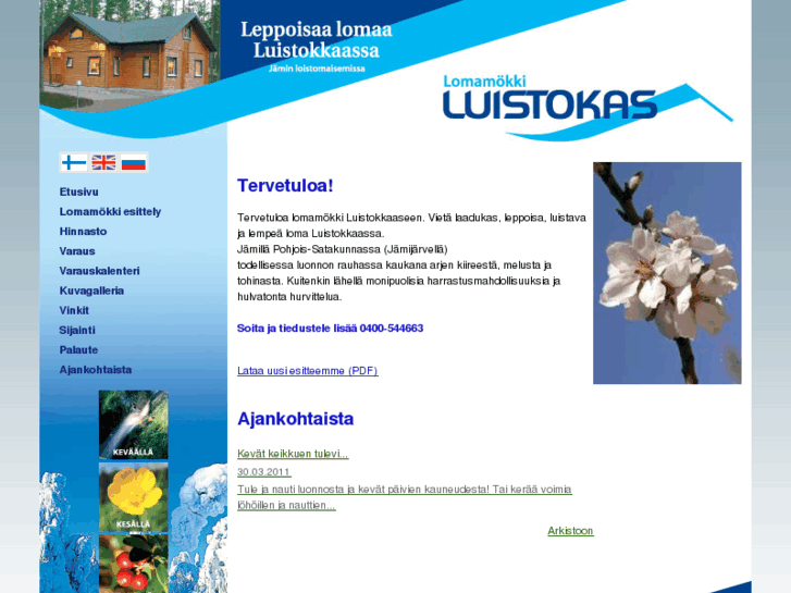 www.luistokas.com