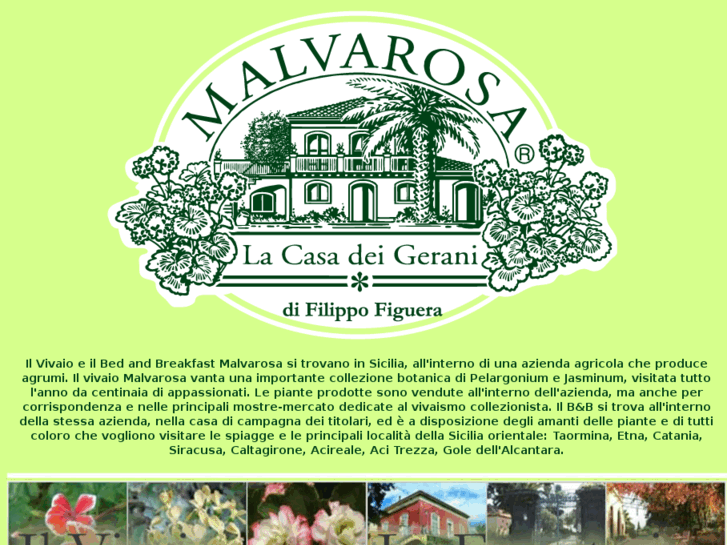 www.malvarosa.com