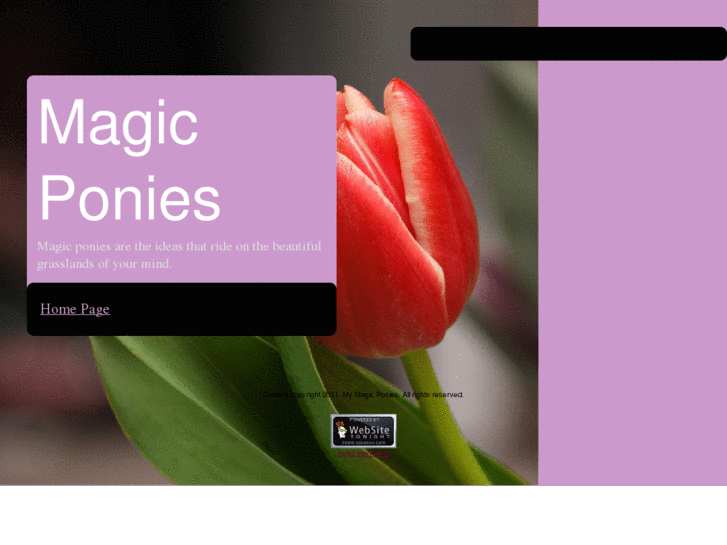 www.mymagicponies.com