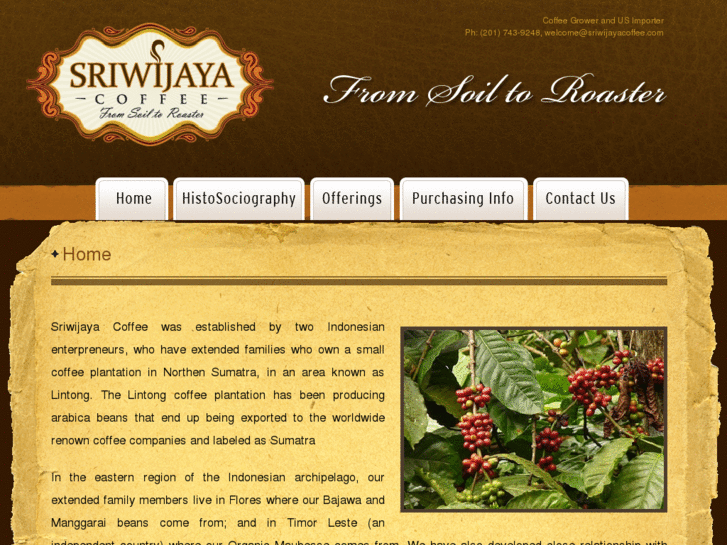 www.sriwijayacoffee.com