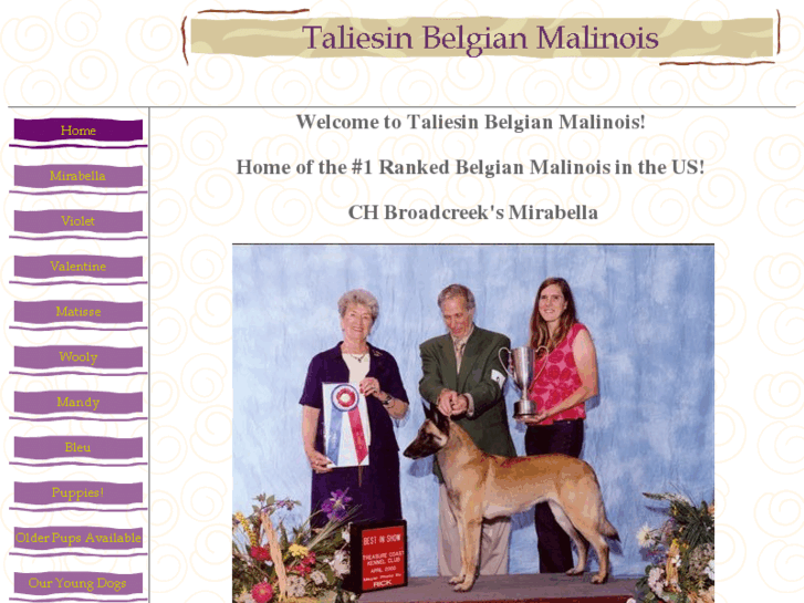 www.taliesinmalinois.com