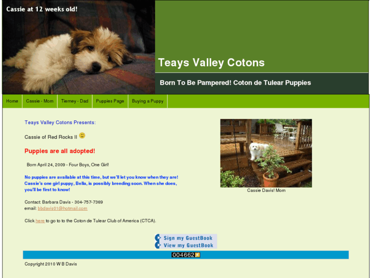 www.teaysvalleycotons.com