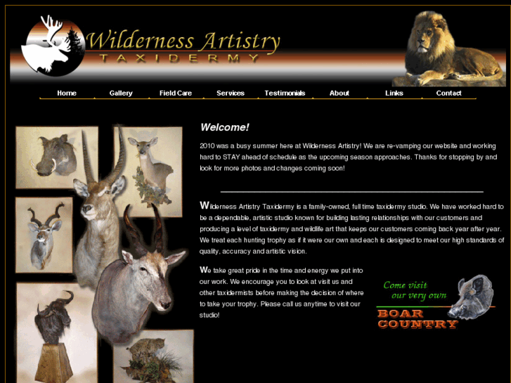 www.wildernessartistry.com