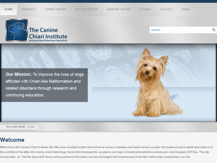 www.caninechiariinstitute.org