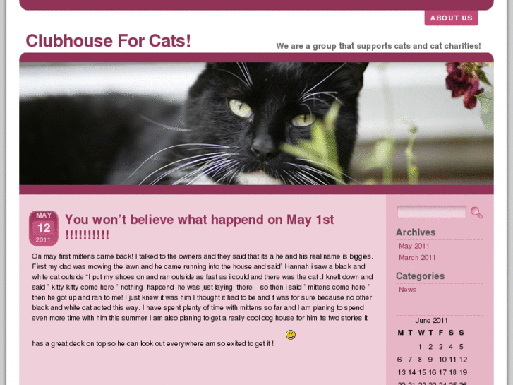 www.clubhouse4cats.com