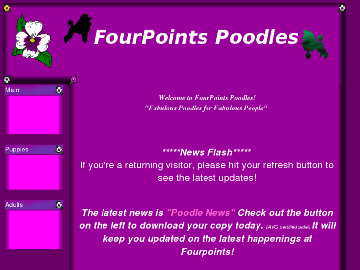 www.fourpointspoodles.com