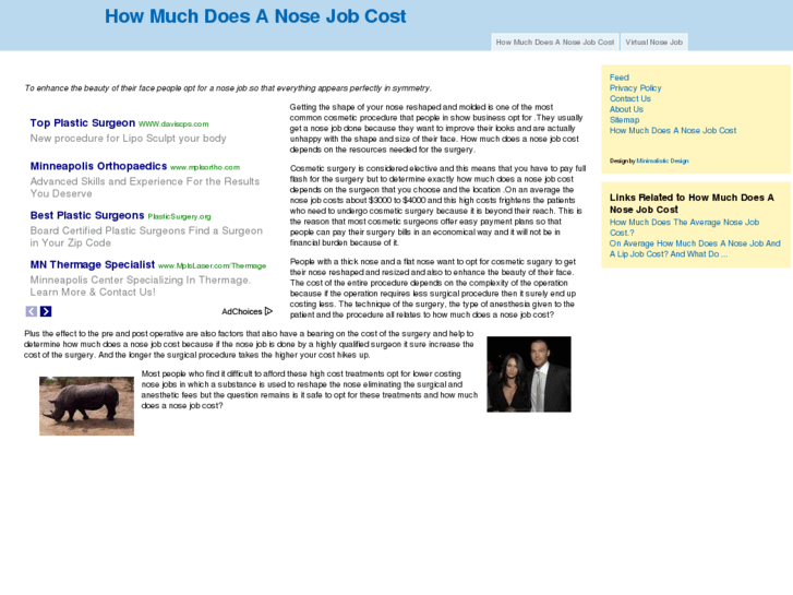 www.howmuchdoesanosejobcost.net