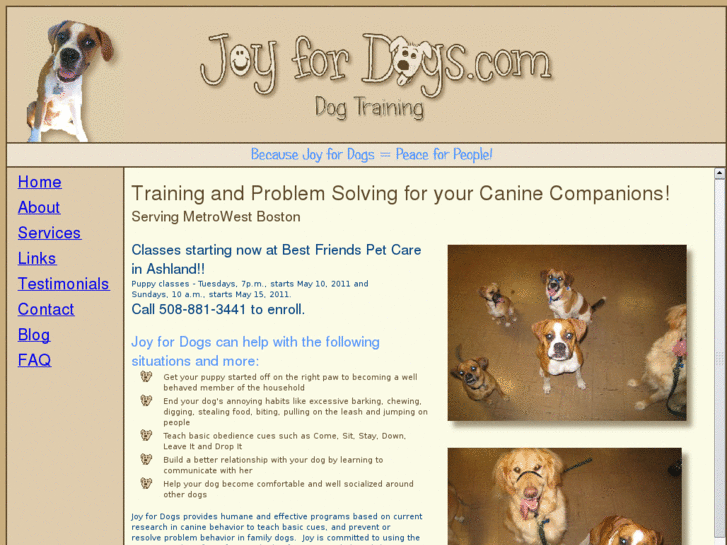 www.joy4dogs.com