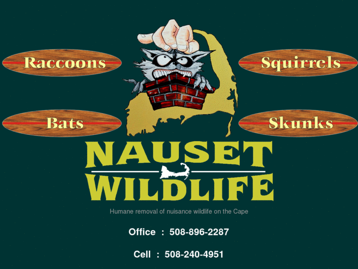 www.nausetwildlife.com