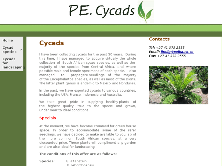 www.pecycads.com