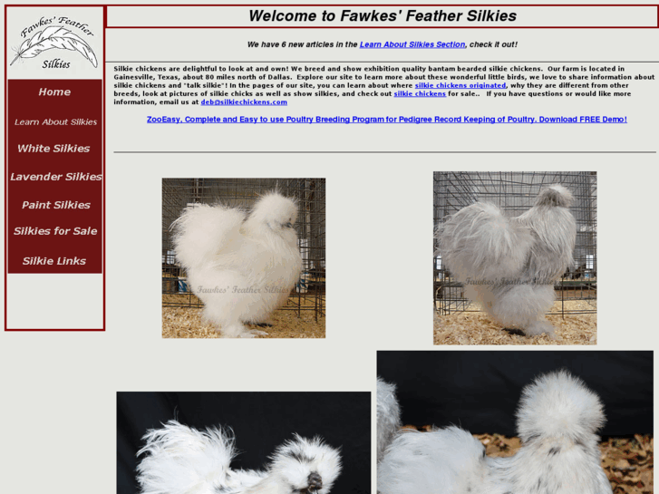 www.silkiechickens.com