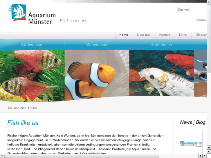 www.xn--aquarium-mnster-8vb.com