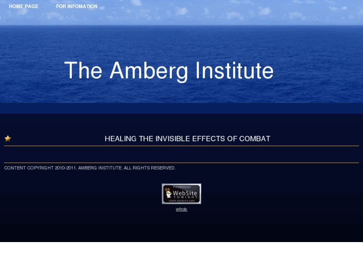 www.amberginstitute.org