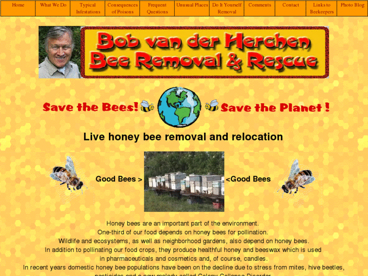 www.beeremovalandrescue.com