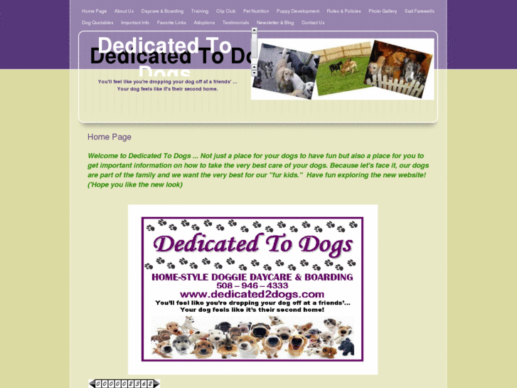 www.dedicated2dogs.com