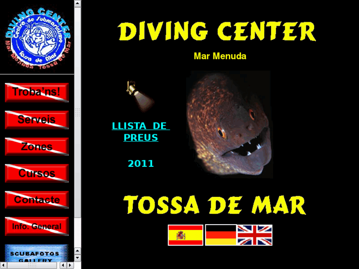 www.divingtossa.com