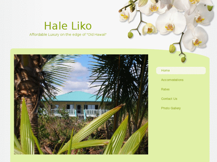 www.haleliko.com