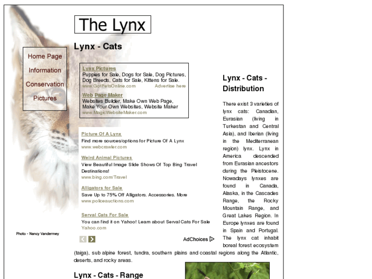www.lynx-cats.com