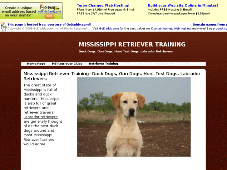 www.mississippiretrievertraining.com