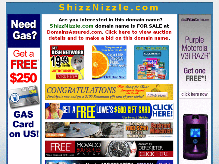 www.shizznizzle.com