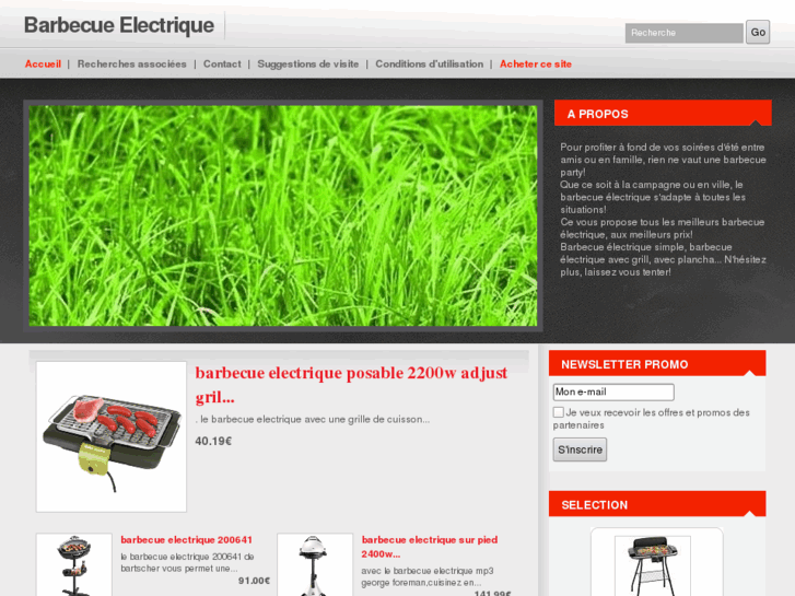 www.barbecue-electrique.com