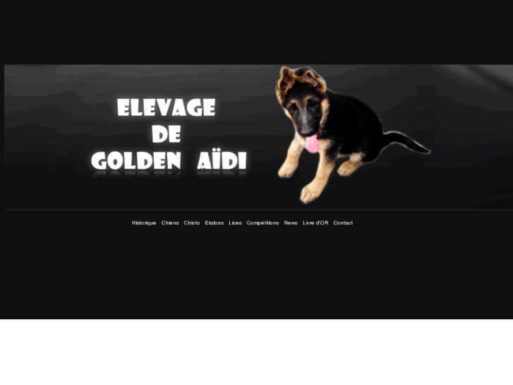 www.goldenaidi.com