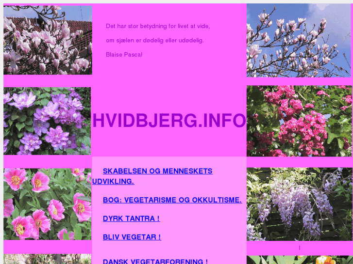 www.hvidbjerg.info