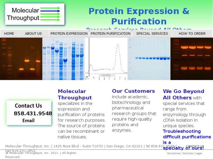 www.molecularthroughput.com