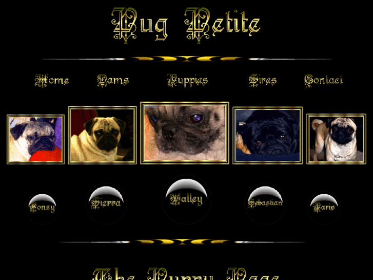 www.pugpetite.com