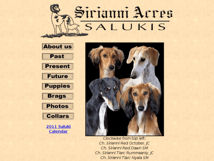 www.sirianniacres.com