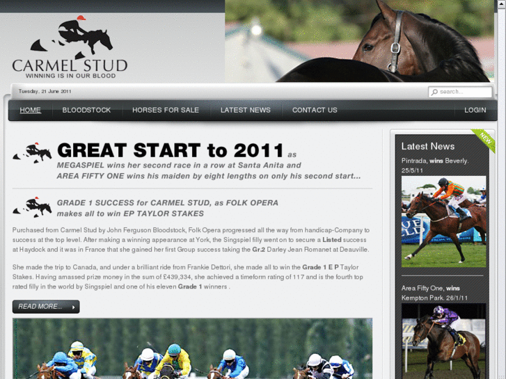 www.carmelstud.co.uk