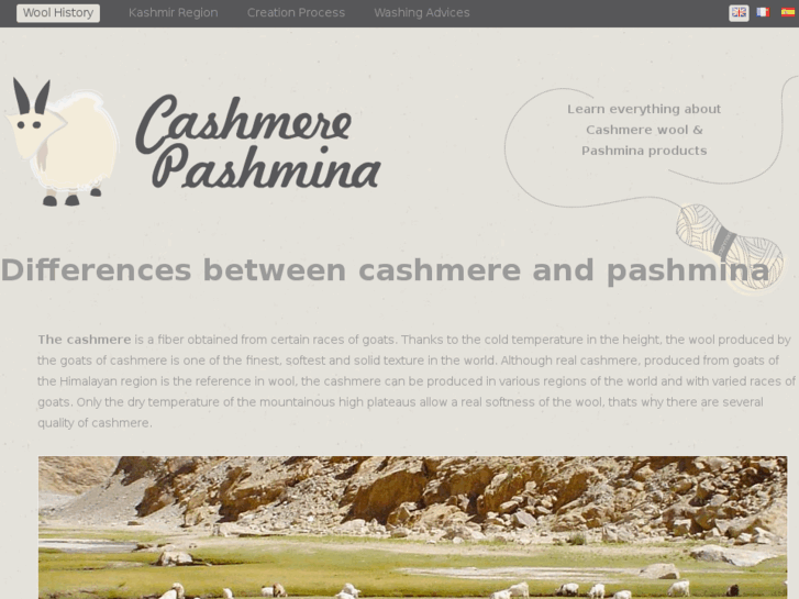 www.cashmere-pashmina.com