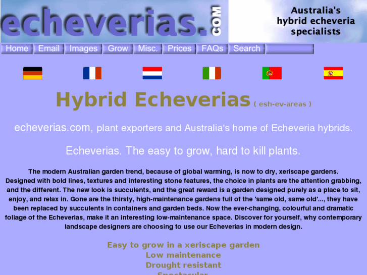 www.echeverias.com