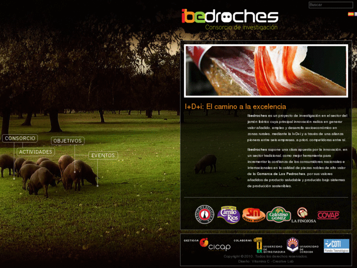 www.ibedroches.es