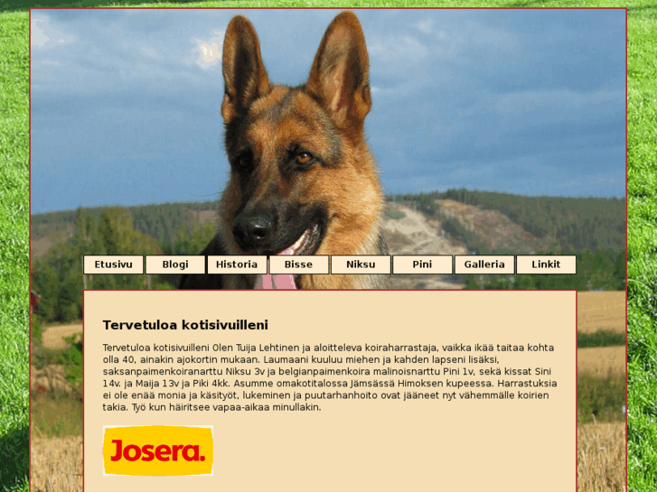 www.tuijasshepherd.com