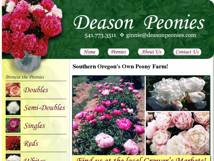 www.deasonpeonies.com